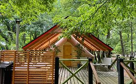 Casa del Árbol - Glamping