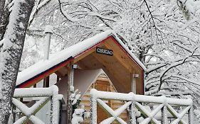 Casa del Árbol - Glamping